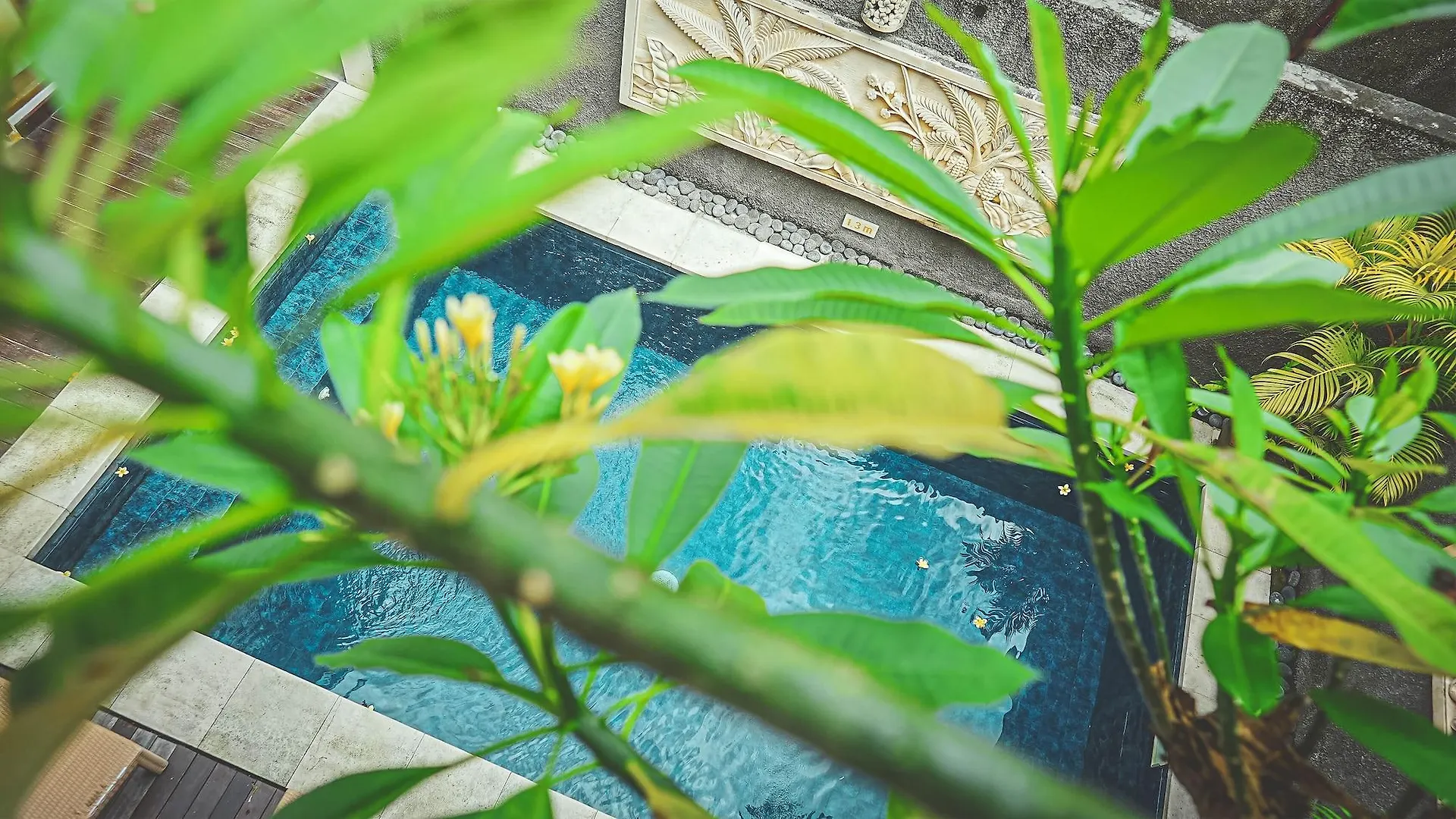 The Light Exclusive Villas And Spa - Chse Certified Seminyak  0*, Seminyak (Bali) Indonesia